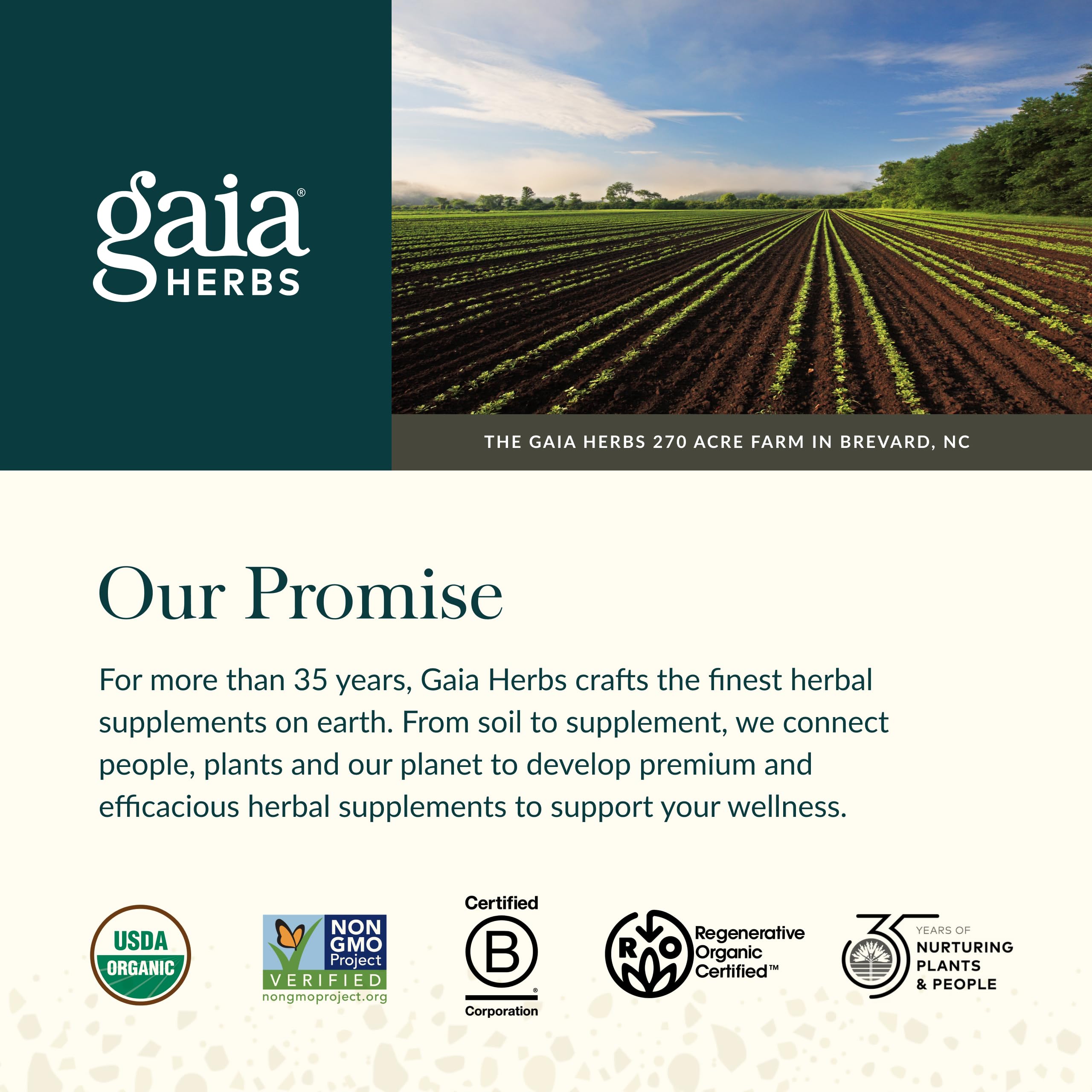 Gaia Herbs Liver Support Herbal Supplement

