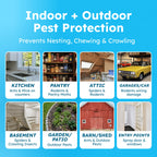 BugMD Peppermint Oil Rodent Spray - Natural Deterrent

