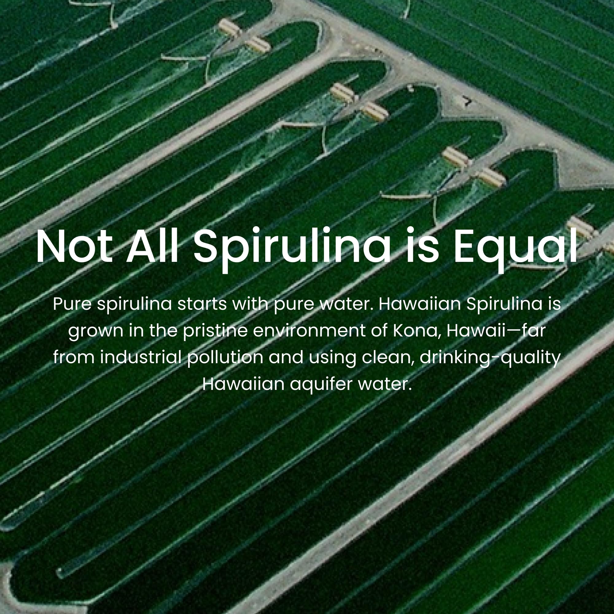 Nutrex Hawaii Pure Hawaiian Spirulina Powder - Vegan


