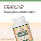Lion’s Mane Mushroom Capsules by Double Wood | Focus Support

