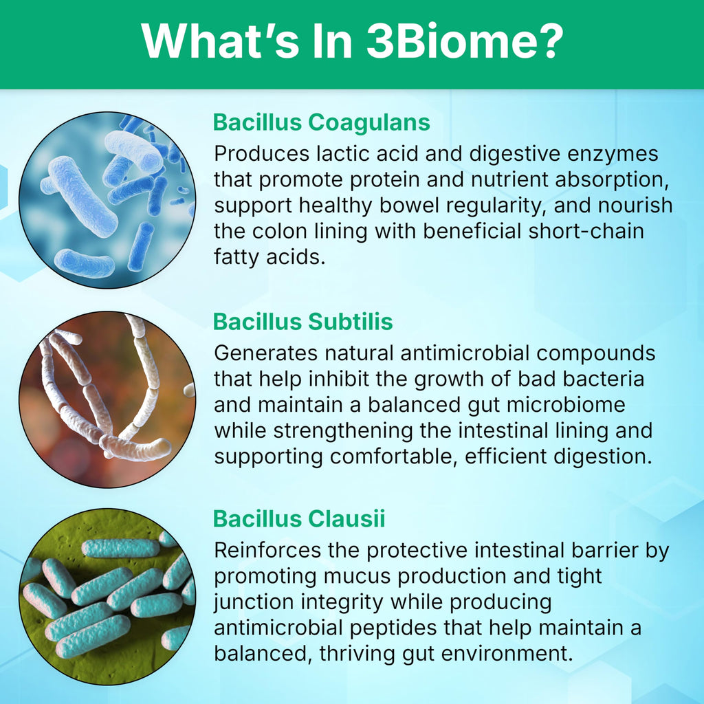 3Biome Probiotic Supplement for Digestive Health

