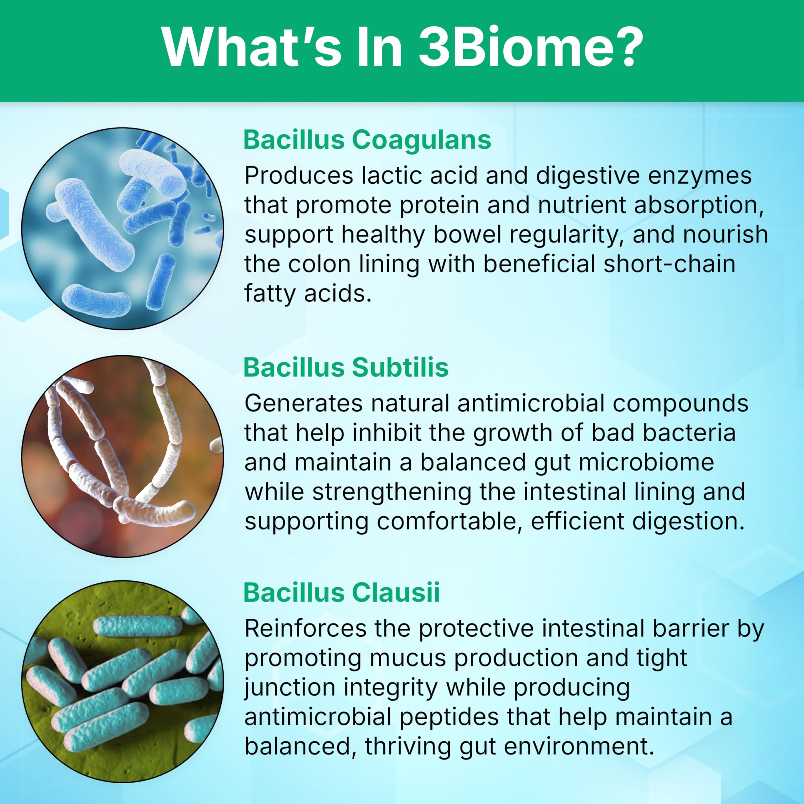 3Biome Probiotic Supplement for Digestive Health


