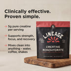 Lineage Provisions Creatine Monohydrate Micronized Sea Salt

