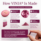 VINIA Piceid Resveratrol Capsules for Cardiovascular Support

