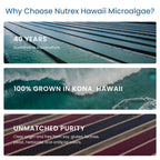 Nutrex Hawaii Pure Hawaiian Spirulina – Vegan Superfood

