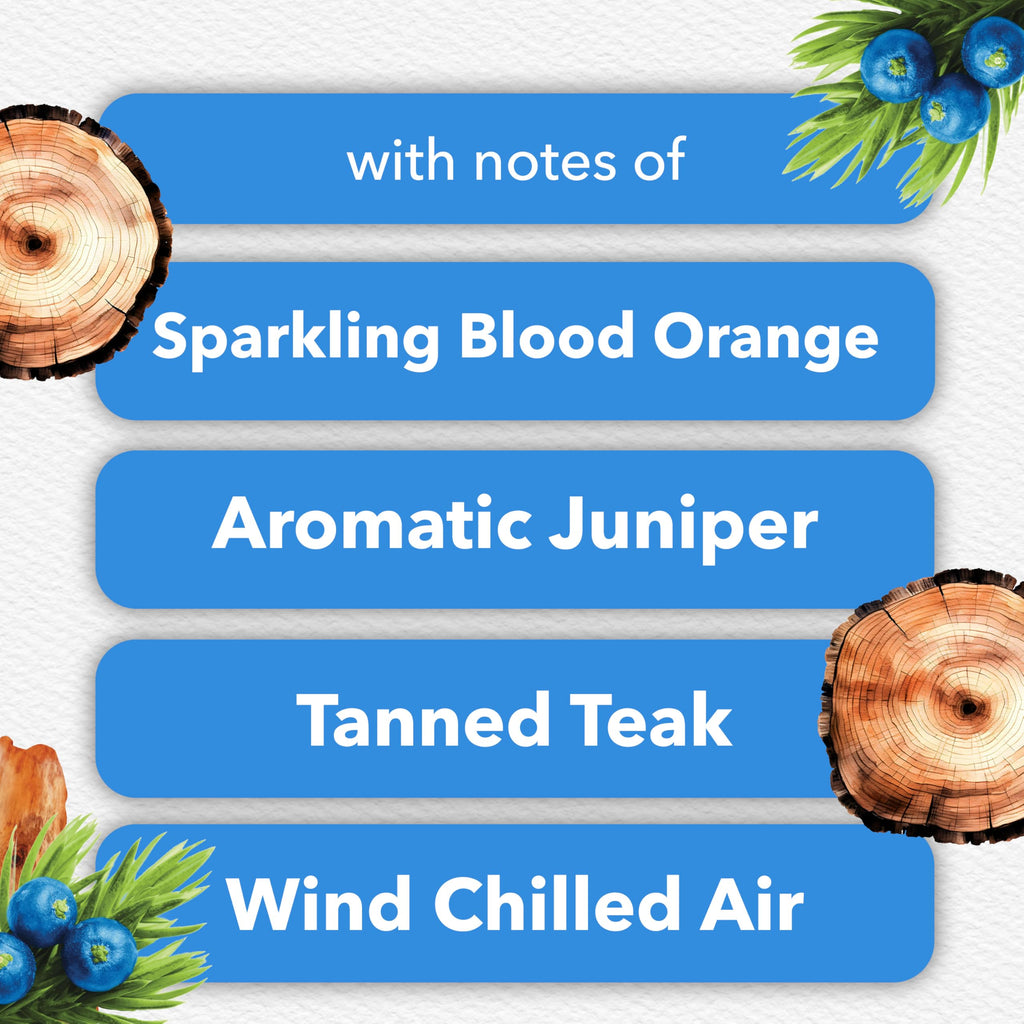 Glade PlugIns Refills Scented Oil for Air Fresheners

