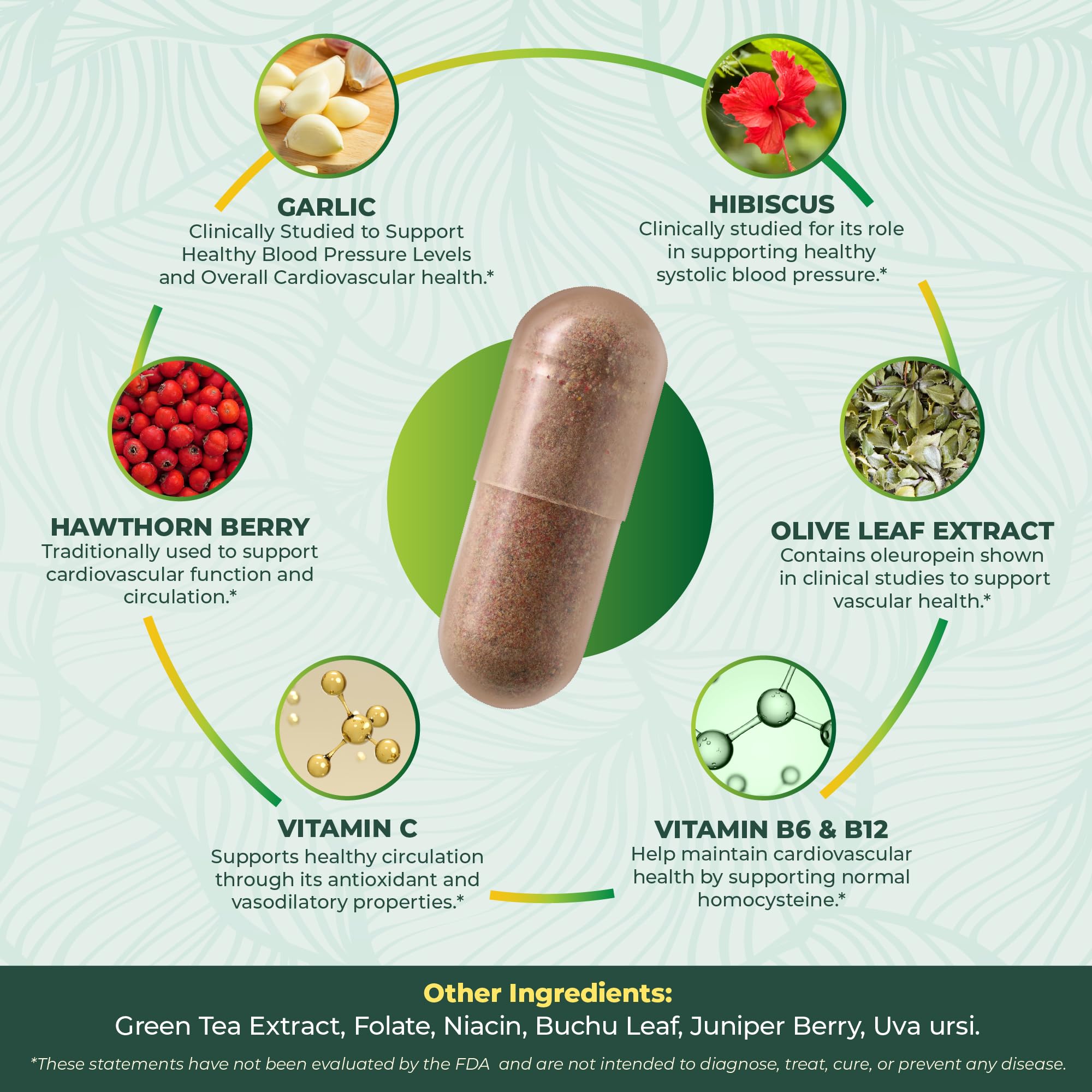 PurePremium Blood Pressure Support | Hawthorn & Garlic

