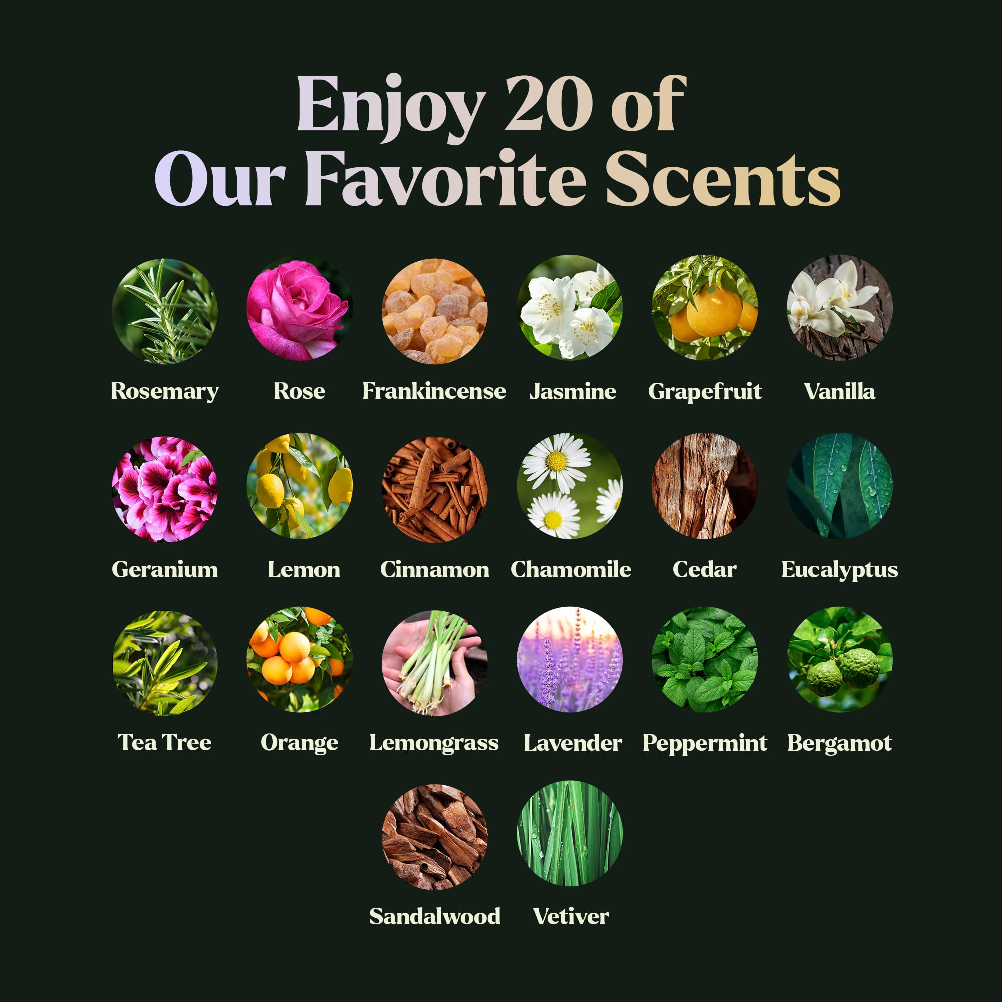 Lagunamoon Essential Oils Set for Diffusers

