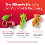 Nutriana Tart Cherry Extract Supplement | Joint Support

