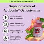 Lemme Burn Metabolism Support | Actiponin Gynostemma

