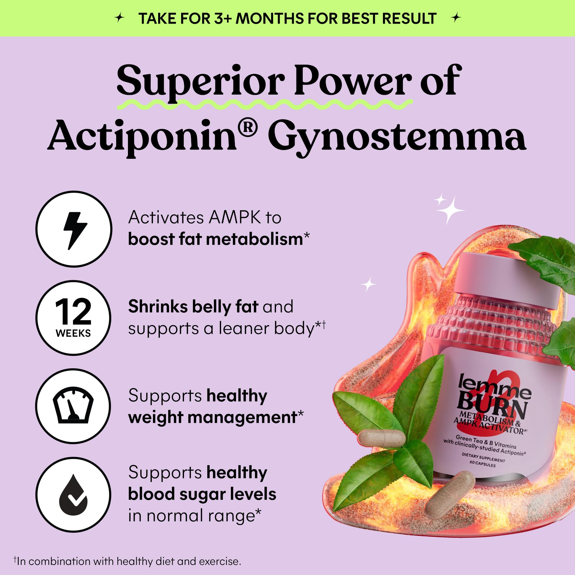Lemme Burn Metabolism Support | Actiponin Gynostemma

