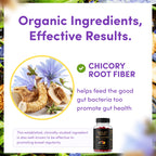 Black Girl Vitamins Fiber Gummies | Prebiotic Gut Support

