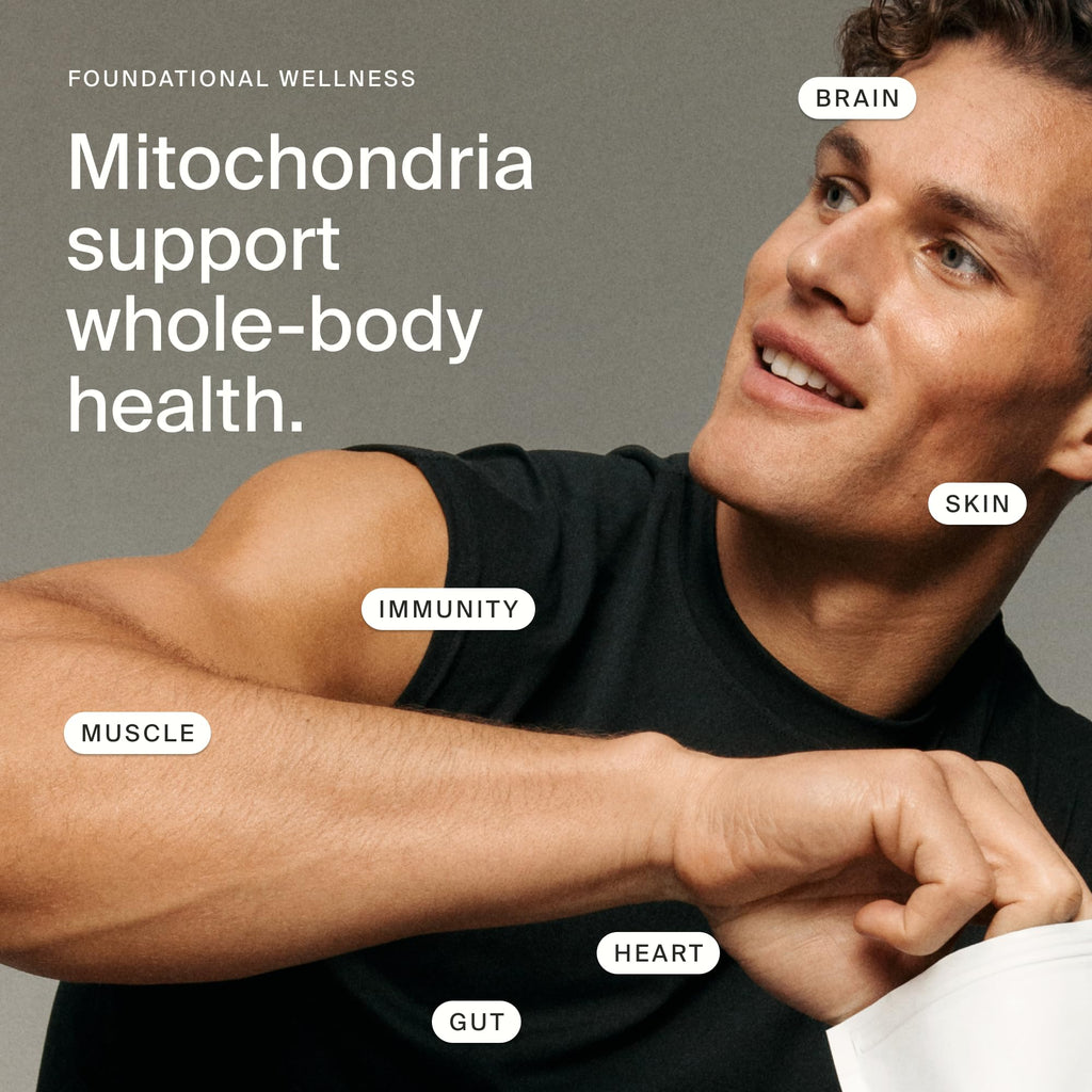 Timeline Mitopure Urolithin A Softgels | Cellular Health

