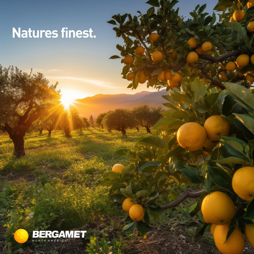 BergaMet Citrus Bergamot 170:1 Extract 80% Polyphenols

