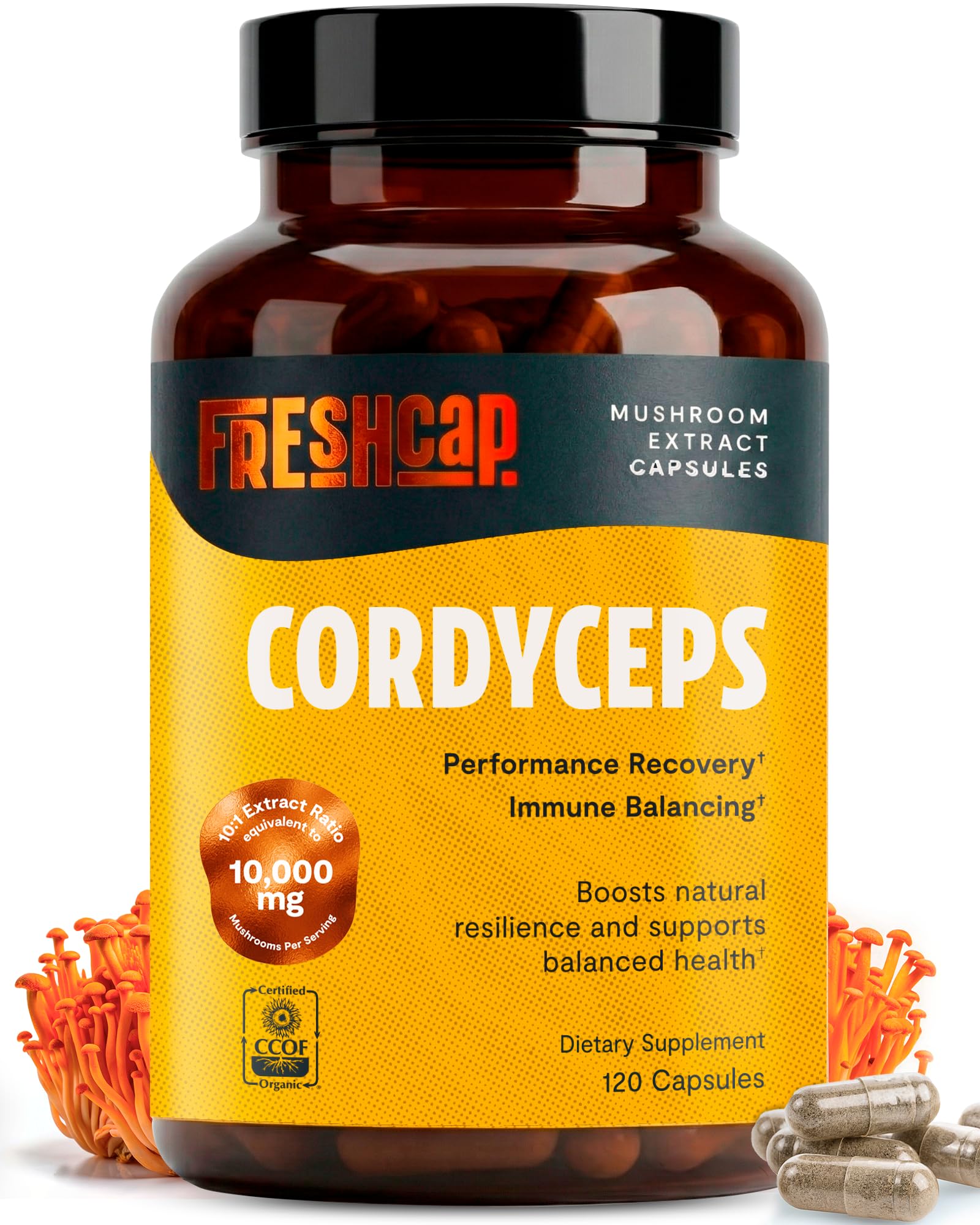 FreshCap Mushrooms Lion's Mane Capsules - 14:1 Organic Fruiting Body Extract, 31% Beta-Glucans
