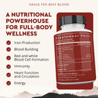 Ancestral Supplements Blood is Blood Liver Spleen Formula

