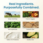 TrueFit High Fiber Protein Powder - Grass-Fed Whey

