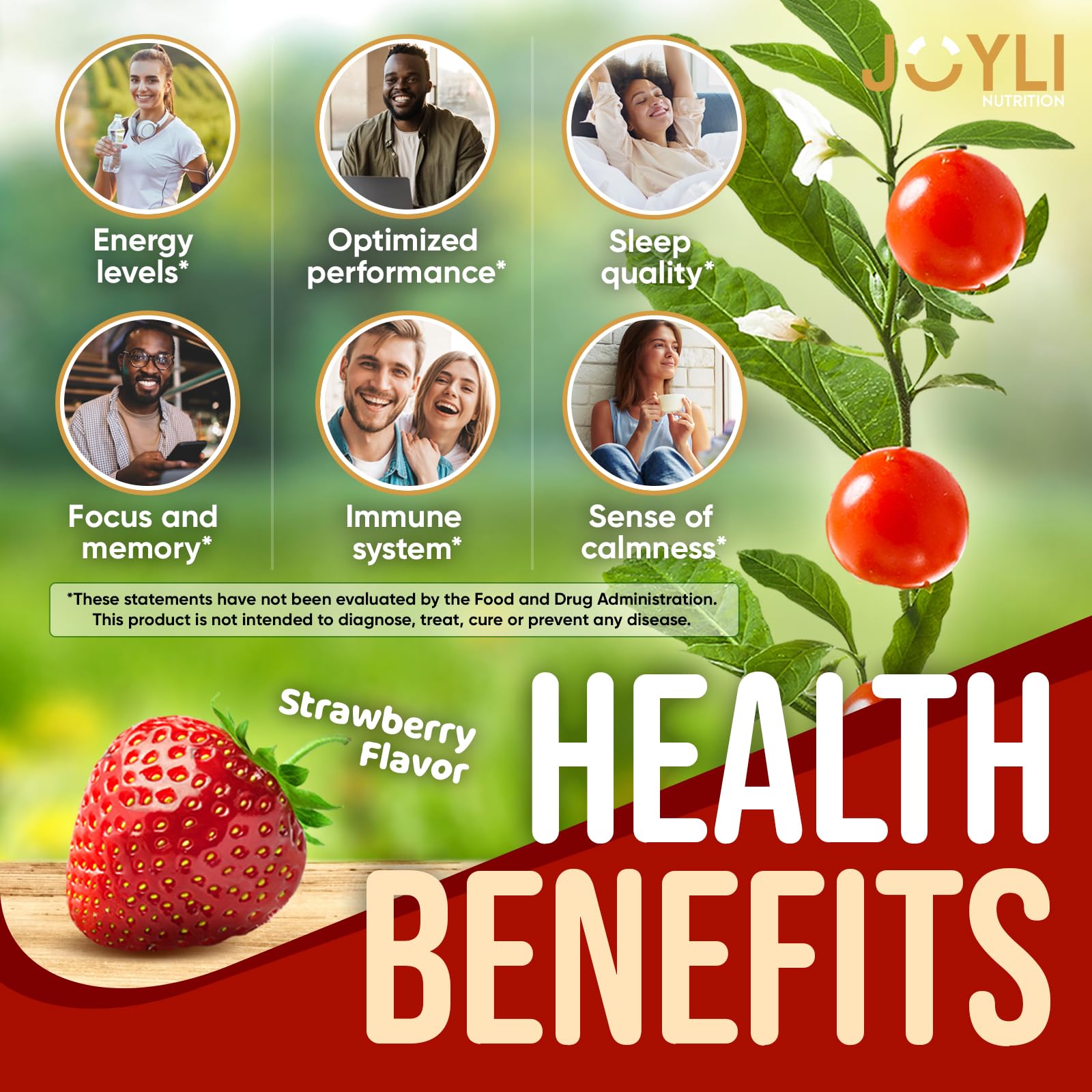 JOYli Ashwagandha Gummies for Sleep and Stress

