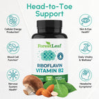 ForestLeaf Vitamin B2 Riboflavin 400mg Capsules for Energy

