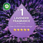 Air Wick Plug-In Scented Oil Refills Lavender & Chamomile

