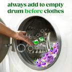 Gain Flings Laundry Detergent Pods Odor Defense + Color Guard

