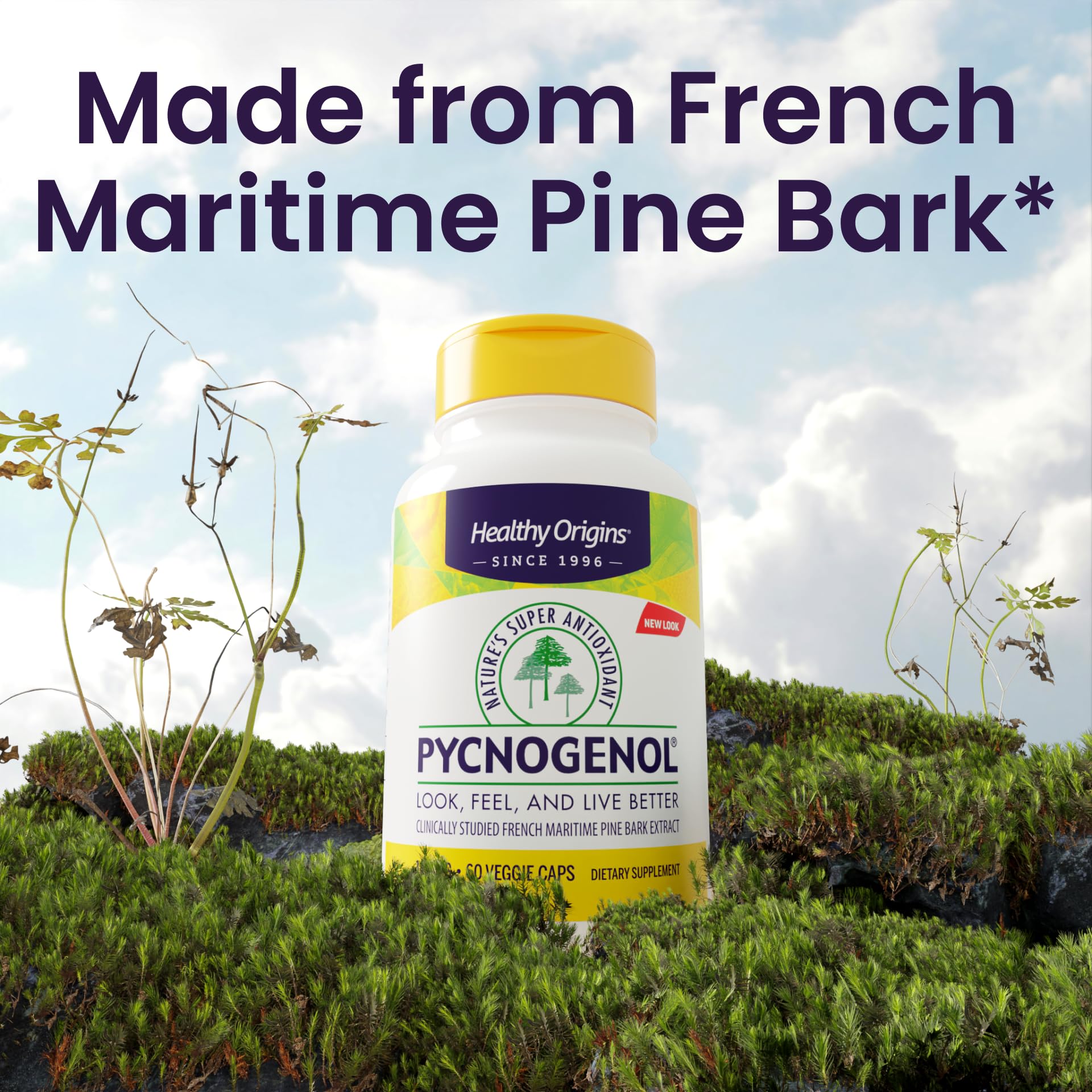 Healthy Origins Pycnogenol 100 mg Pine Bark Extract

