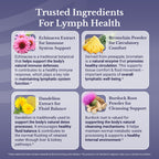 NationHealth MD Lymph MD Lymphatic Supplement | Plant-based

