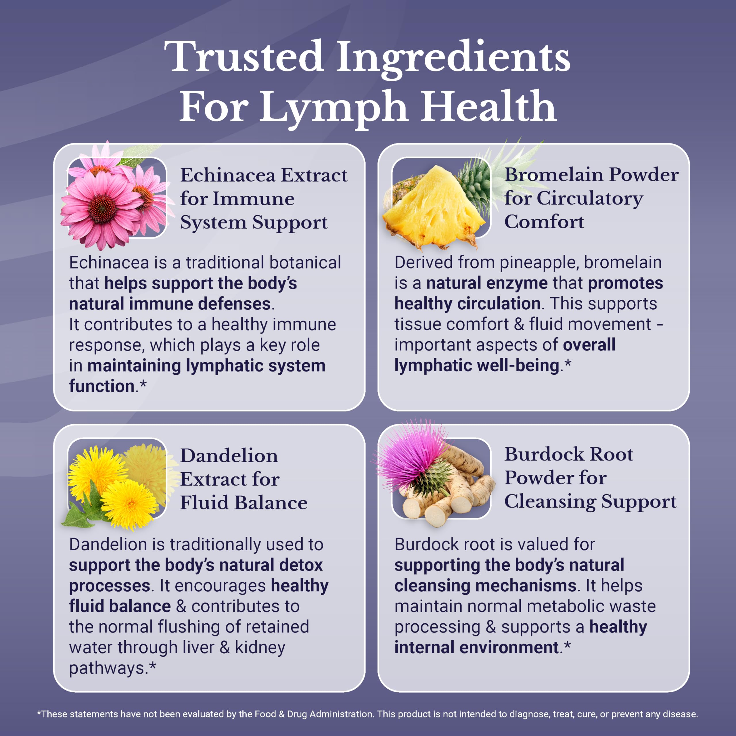 NationHealth MD Lymph MD Lymphatic Supplement | Plant-based

