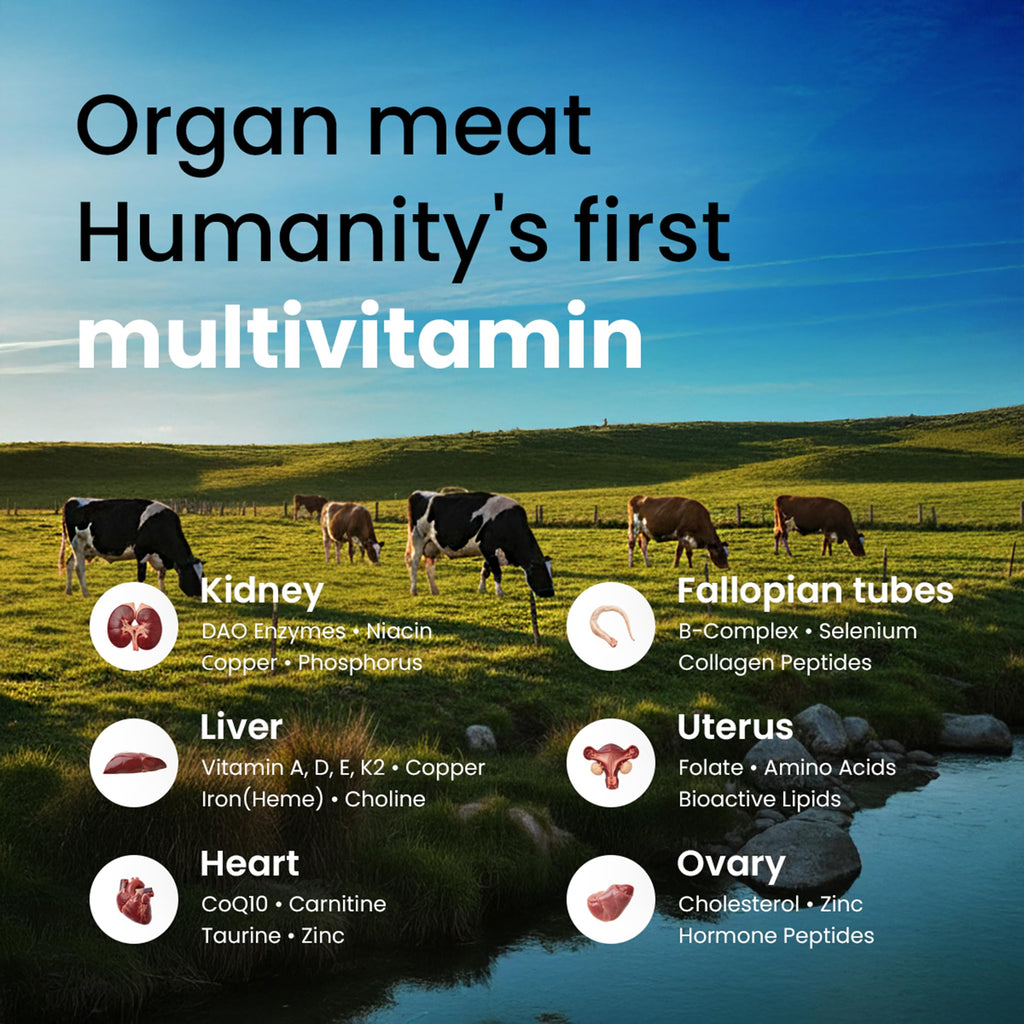 Beef Organ Supplement for Women - Hormone Balance

