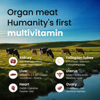 Beef Organ Supplement for Women - Hormone Balance

