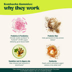 BoochBod Probiotic Kombucha Gummies for Gut Health

