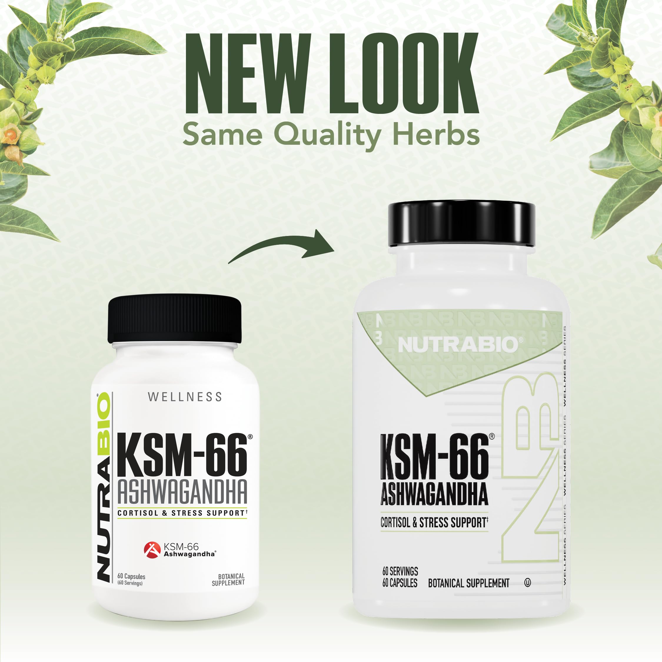 NutraBio Ashwagandha KSM-66 | Stress & Mood Support

