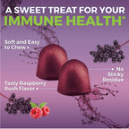 Viva Naturals Immune Support Gummies | Organic

