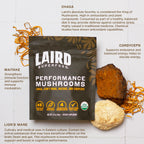 Mushroom Powder Blend for Energy | Laird Superfood

