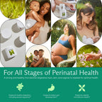 Probiotic & Prebiotic Supplement

