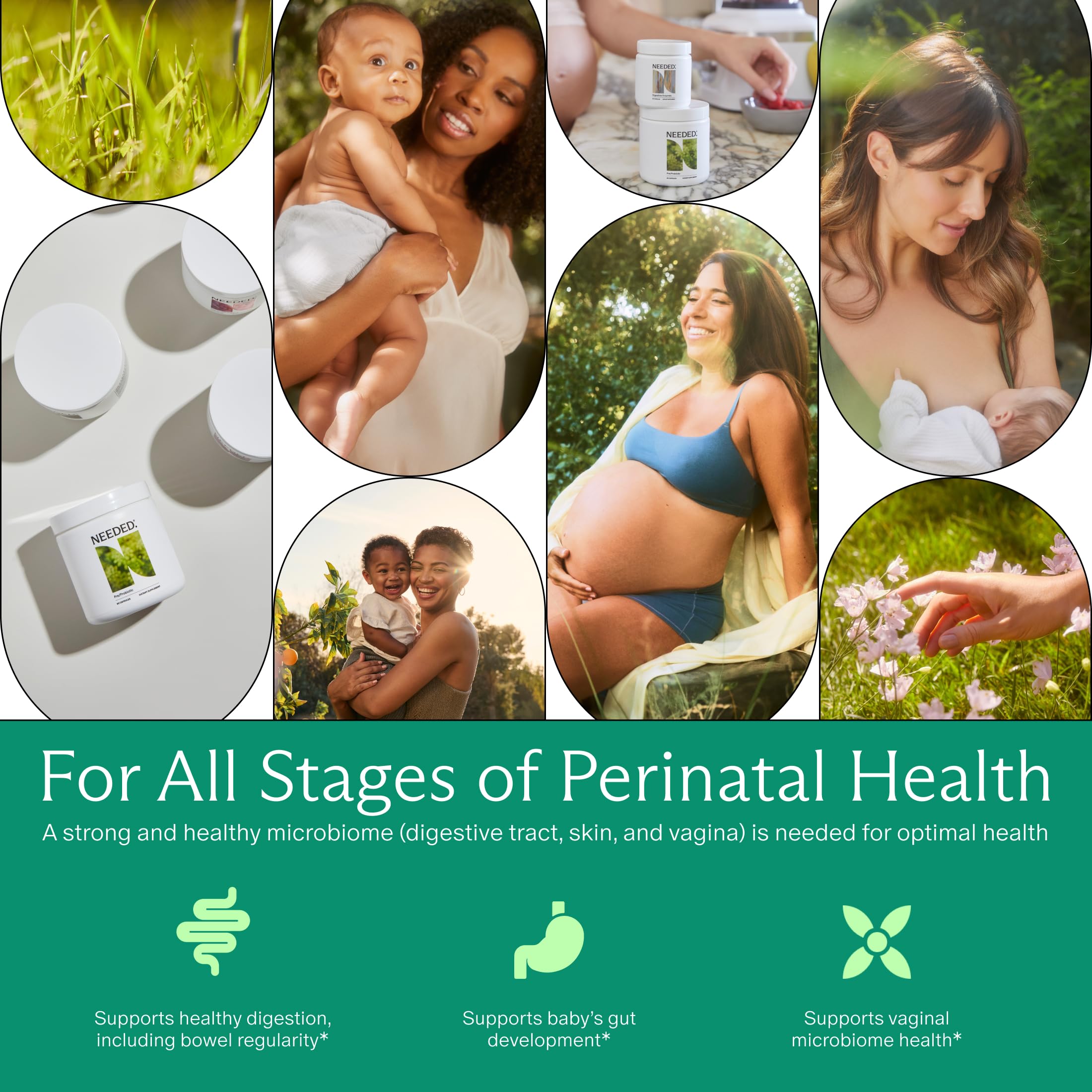 Probiotic & Prebiotic Supplement


