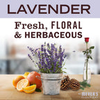 Laundry Detergent by Mrs. Meyer's Clean Day - Cruelty Free

