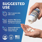 Clean Nutra Methylated Multivitamin Complex for Adults

