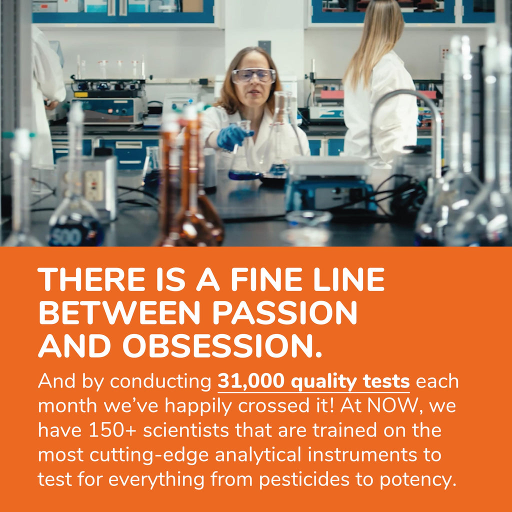 NOW Silymarin Milk Thistle Extract for Liver Support


