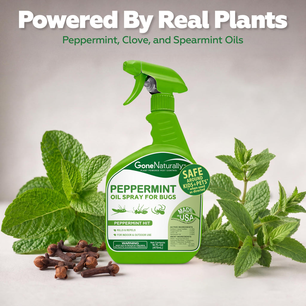 Plant-Based Bug Spray – Natural Insect Repellent

