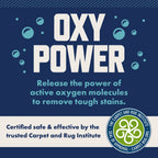 Rocco & Roxie Carpet Cleaner Solution - Pet Stain Remover

