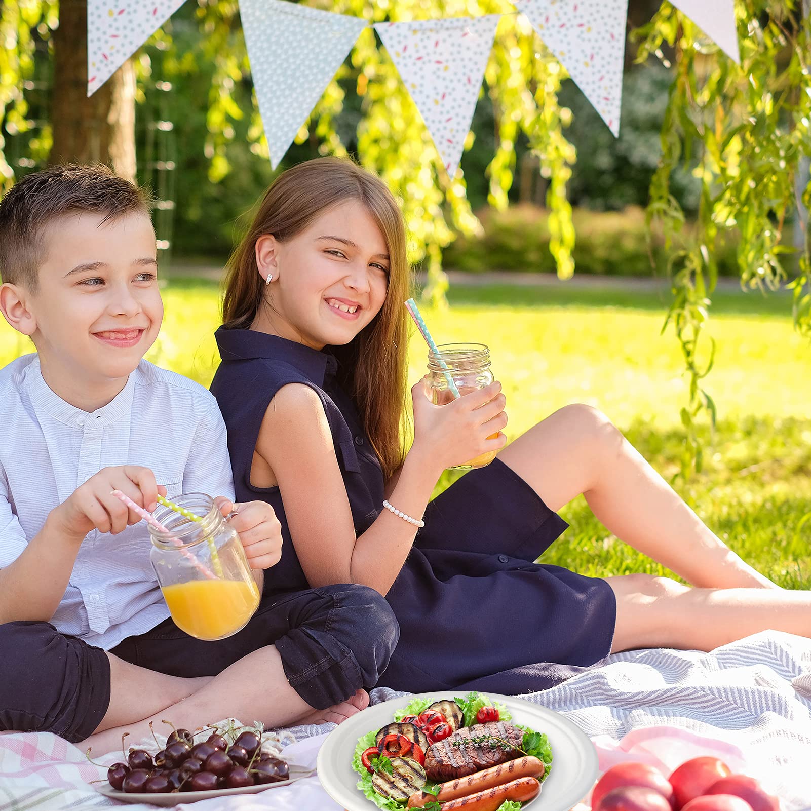 Vplus Compostable Disposable Dinner Plates

