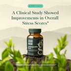 Gaia Herbs Ashwagandha Root 350 mg – Stress Support

