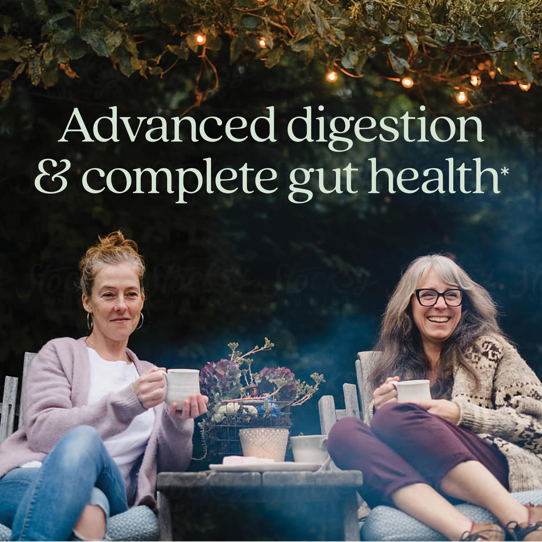 New Chapter All-Flora Probiotic for Digestive Health

