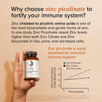 Rootcha Magnesium & Zinc Complex Supplement

