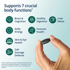 Metagenics PhytoMulti Multivitamin Without Iron - Wellness

