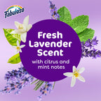 Fabuloso Cleaning Solution Everyday Use

