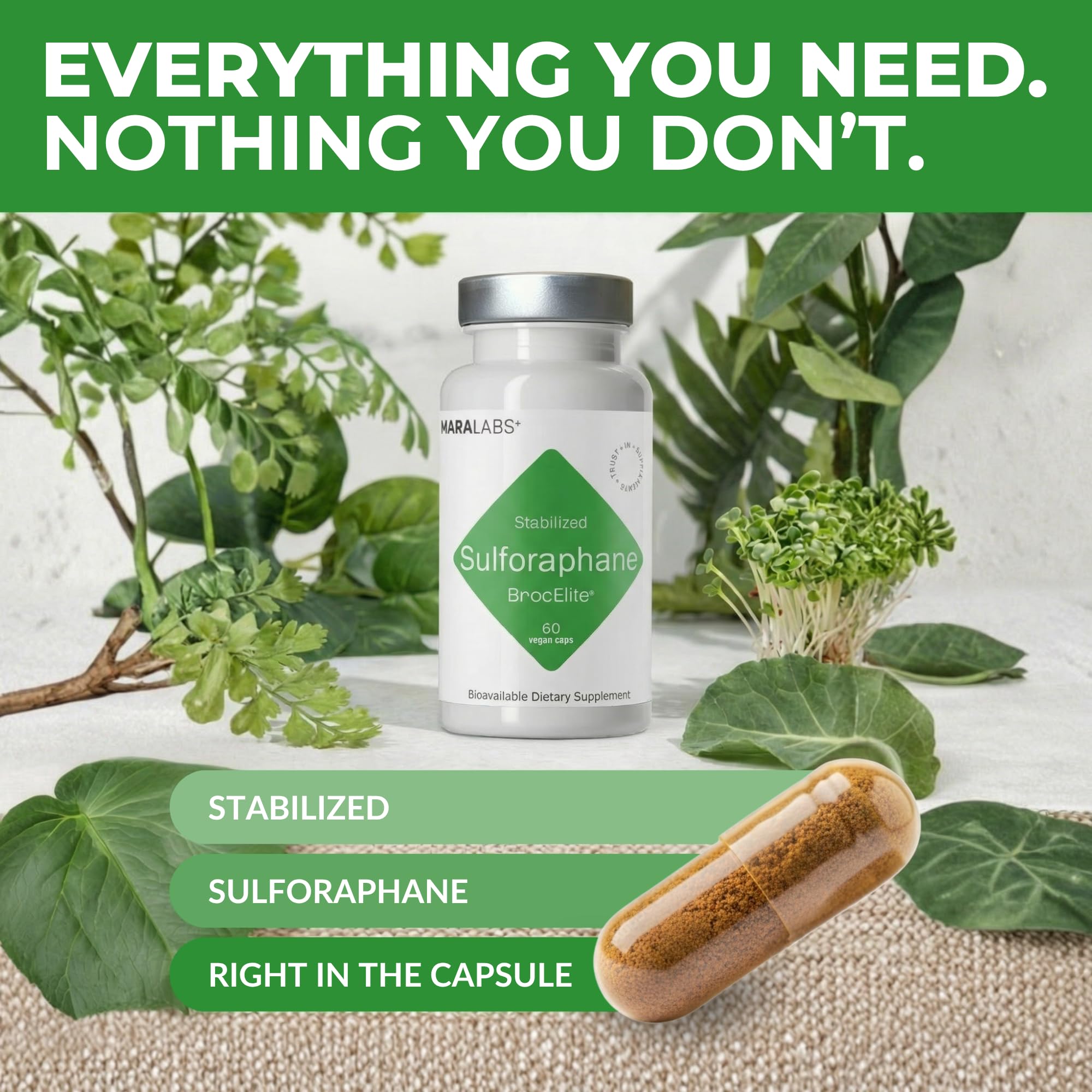 BrocElite Stabilized Sulforaphane Broccoli Supplement

