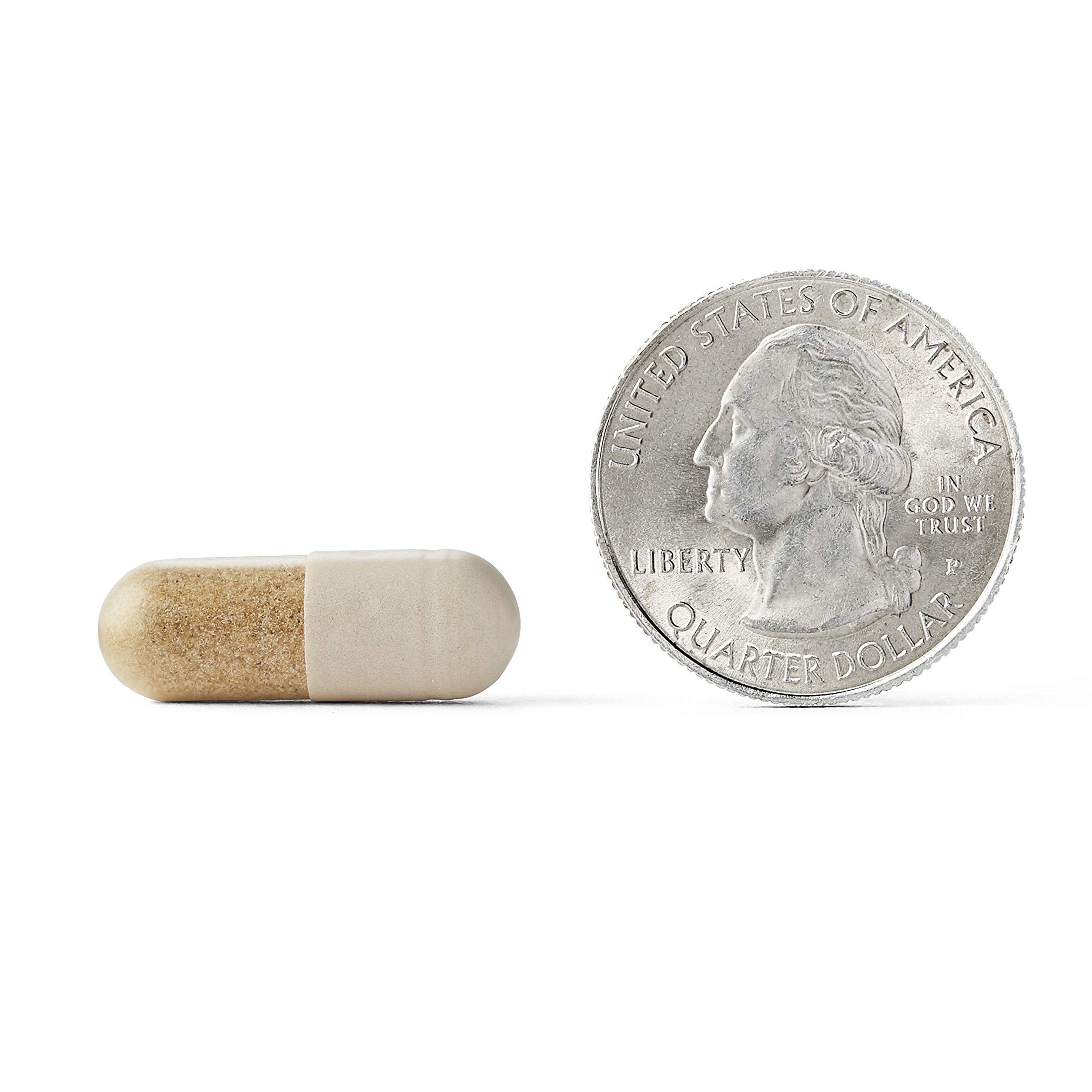 Neuriva Ultra Brain Supplement for Memory and Focus

