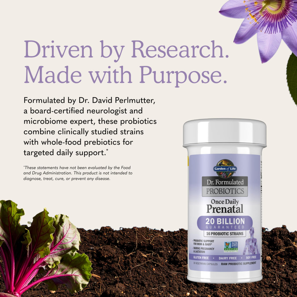 Garden of Life Dr Formulated Prenatal Probiotics Once Daily

